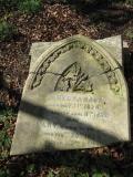 image of grave number 504938